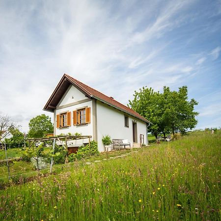 Villa Weinlofts Weinloft I Edlitz im Burgenland Exterior foto