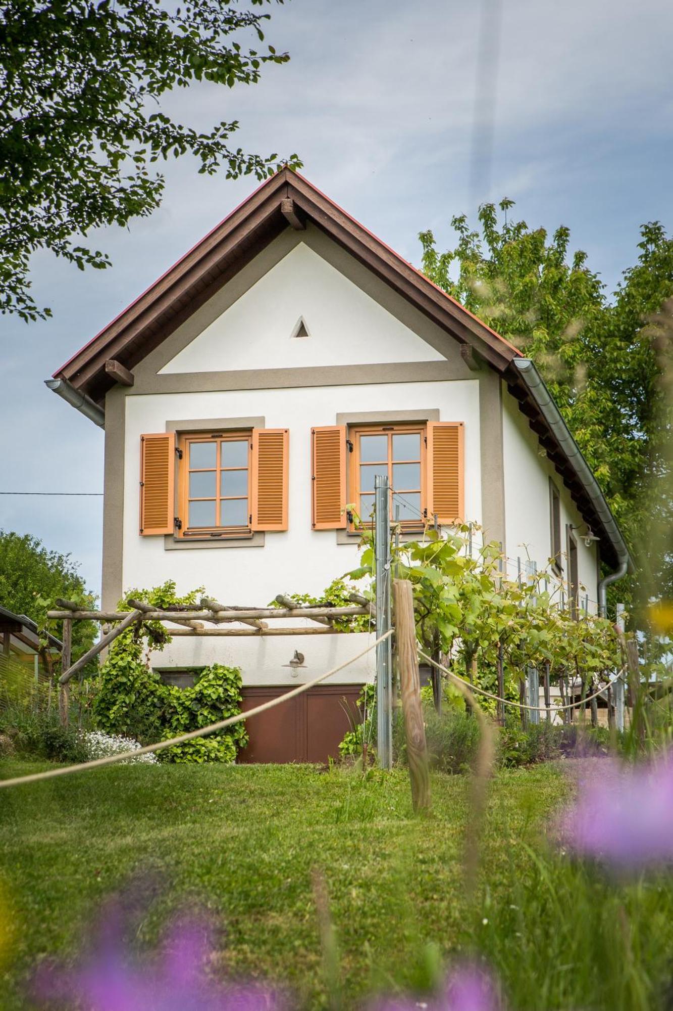 Villa Weinlofts Weinloft I Edlitz im Burgenland Exterior foto