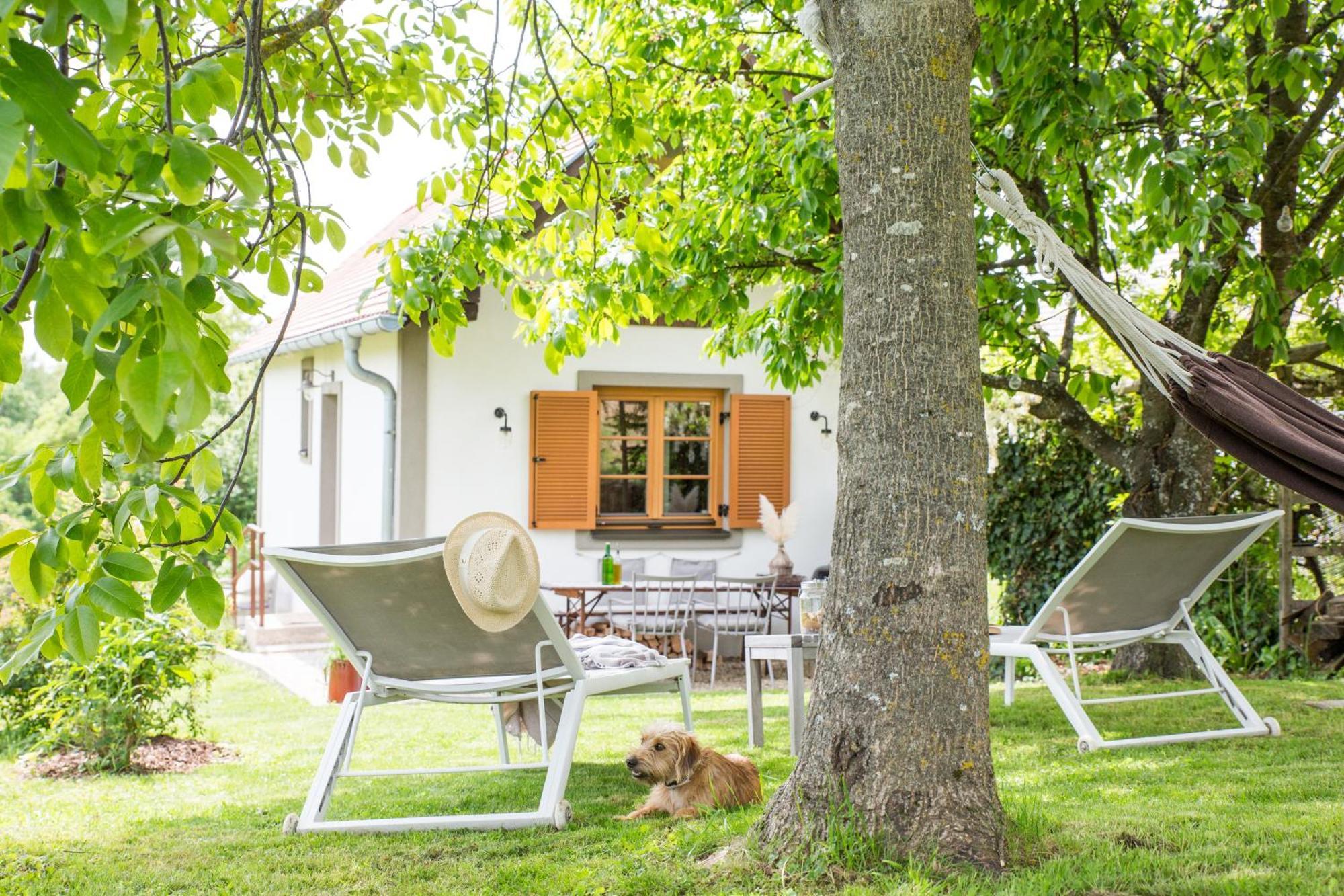 Villa Weinlofts Weinloft I Edlitz im Burgenland Exterior foto